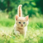 snapshot-gallery-photo-three